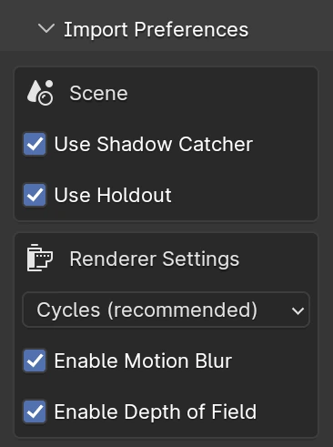 The Import Preferences section, with the Scene and Renderer Settings groups